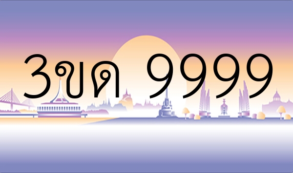 3ขด 9999